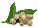 Organic ginger extract